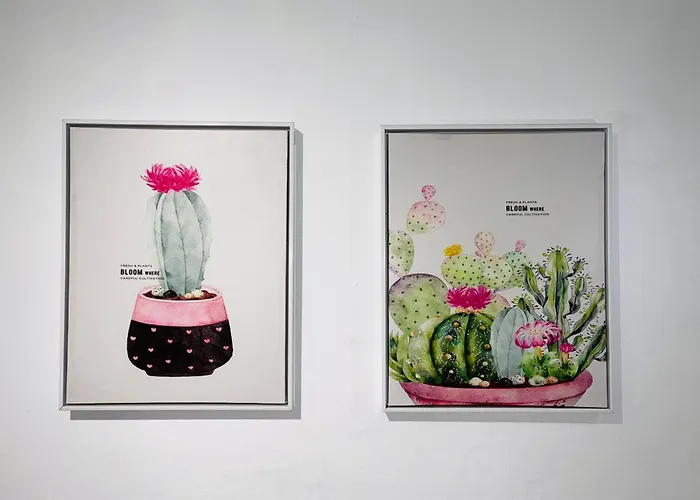 Amanecer Isleno アレシフェ