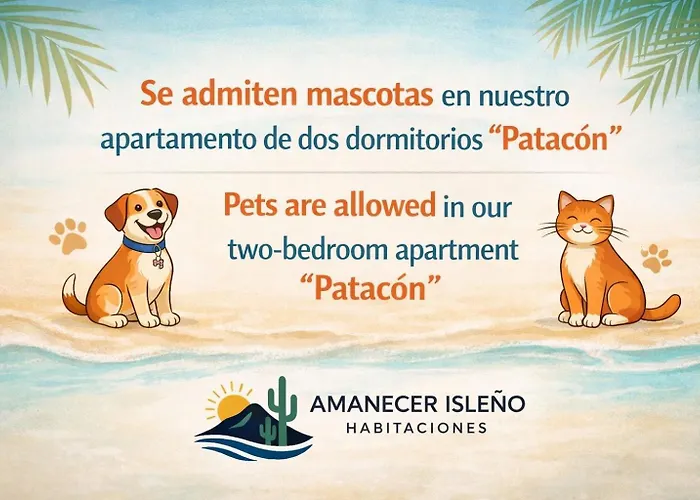 Amanecer Isleno * アレシフェ