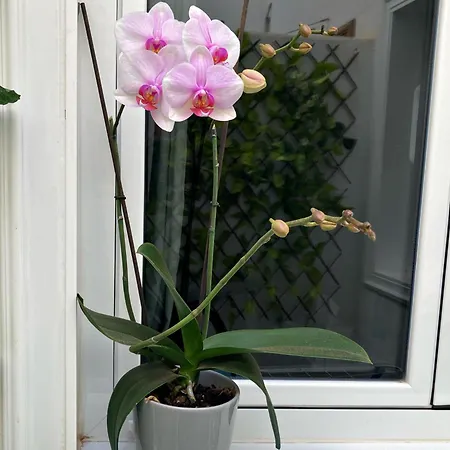 Amanecer Isleno * Arrecife (Lanzarote)