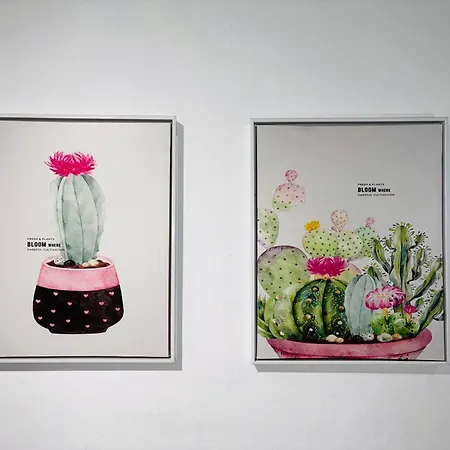 Amanecer Isleno Arrecife (Lanzarote)